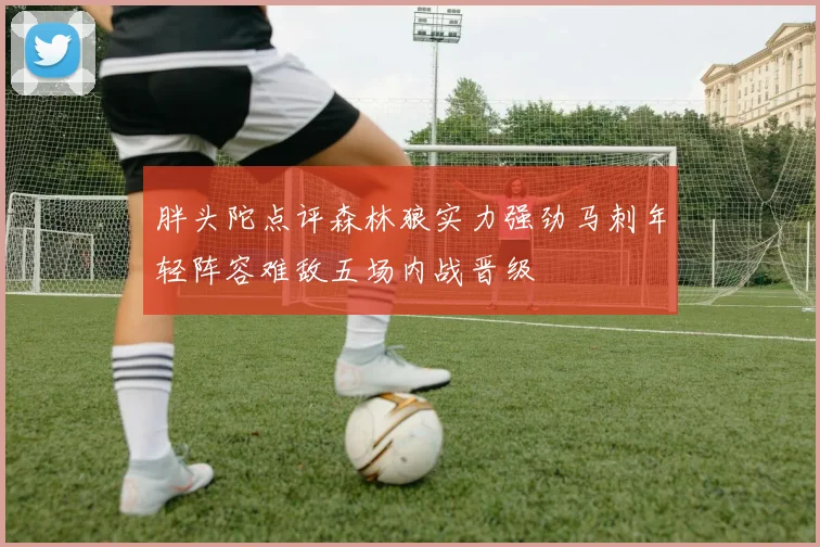 胖头陀点评森林狼实力强劲马刺年轻阵容难敌五场内战晋级